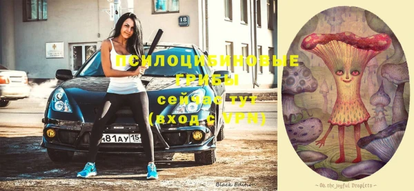 дживик Абинск